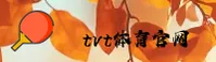 TVT体育官方网站